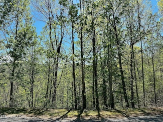 0 Mountain Dreams Way Unit 1259950, Sevierville, TN 37862