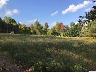 155 - Lot#30 Woodland Rd, Taghkanic, NY 12521