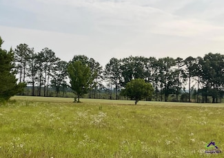 38 & 39 Crabapple Dr, Hawkinsville, GA 31036
