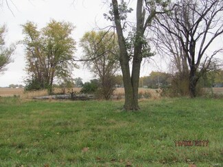 0 Rrt 1 Box 122 Unit 17094388, Kane, IL 62054