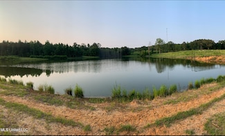 00 Old Gilmer Rd, Taylorsville, MS 39168
