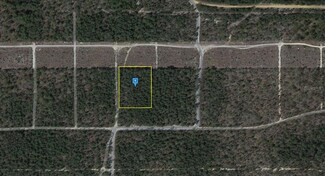0 Canterbury Ct Unit MFRA4551005, Defuniak Springs, FL 32433