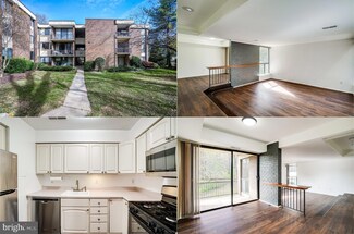9800 Georgia Ave, Silver Spring, MD 20902