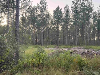 LOT 4 Wallace Lake Rd, Pace, FL 32570