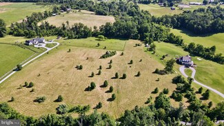 34436 Hollow Oak Rd, Bluemont, VA 20135
