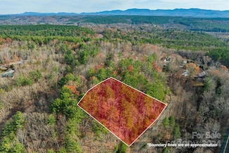 133 James Bob Stafford Dr, Nebo, NC 28761