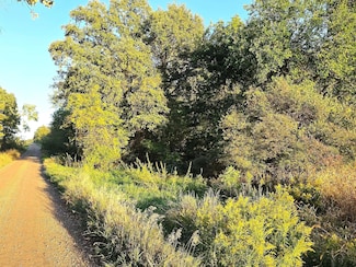 0 Wildt Hwy Unit 25051557, Kalamo Township, MI 49021