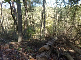 7822 Hilltop Dr NW, Carrollton, OH 44708