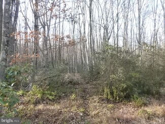 Lot #152 Chipmunk Trail, White Haven, PA 18661