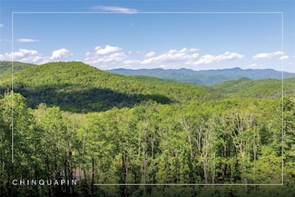 C55 Roaming Rd, Glenville, NC 28736