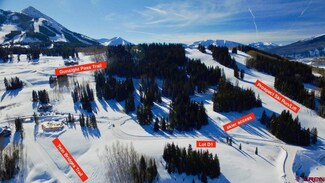 503 Prospect Dr, Mount Crested Butte, CO 81225