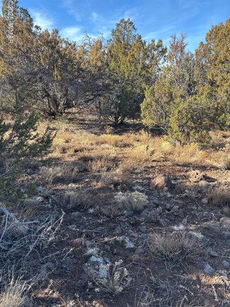 0 N 8387 Mesa Redondo, Concho, AZ 85924