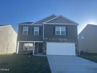 1047 Persimmon Hollow, Greeneville, TN 37745