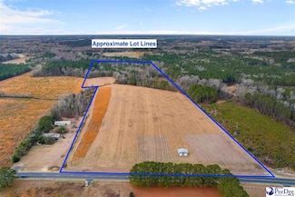 1133 Cale Yarborough Hwy, Timmonsville, SC 29161