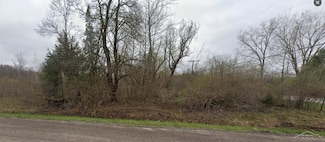VL W Frances Rd, Flushing, MI 48433