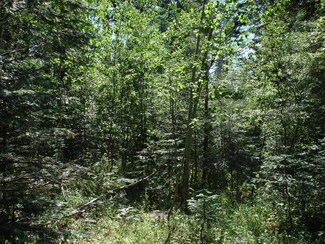 Lot 2 Majestic View Dr Unit 2, McCall, ID 83638