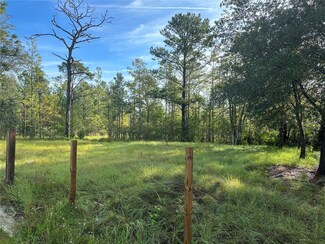 3401 Coronet Ave, Wedgefield, FL 32833