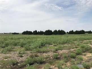 1310 Carroll Moran Trail, Midlothian, TX 76065