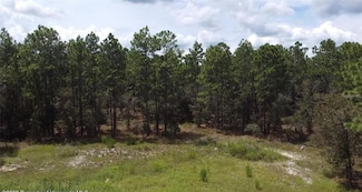0 Golddust Rd, Spring Hill, FL 34609