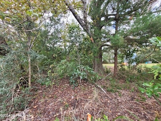 0 Sentinel Dr Unit 2058612, Crescent City, FL 32112