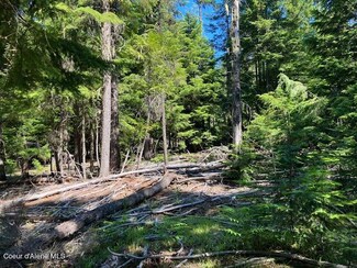 NNA Toad Road ( 5acres), Priest River, ID 83856