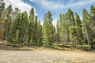 114 Elk Cir, Saint Mary's, CO 80452