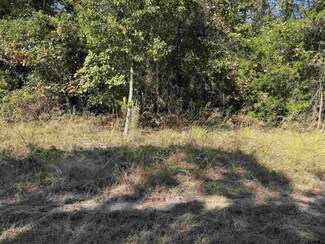 Lot 336 King Bernanrd, Scroggins, TX 75480