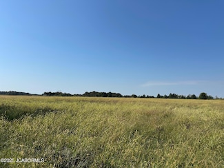 0 4 05 Ac Tract3 Cr 404 Unit 10071798, Fulton, MO 65251