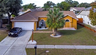 2439 Cedarcrest Place, Valrico, FL 33596