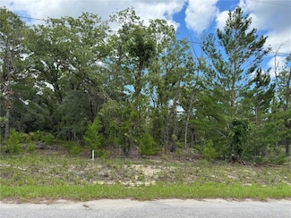 0 Malauka Trail Course Unit 4 MFROM701528, Ocklawaha, FL 32179