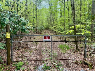 57/Ac Tbd Powder Branch Rd, Elizabethton, TN 37643