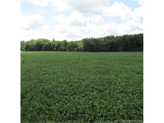 0 Frontage Rd Unit 201405872, Henryville, IN 47126