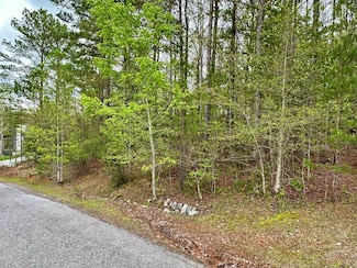 Lot 53 Brookhaven Dr, Blairsville, GA 30512
