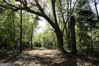 0 Floyd Rd Unit LOT 9 10493980, Pembroke, GA 31321