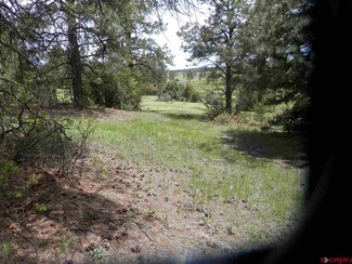 963 E Mccabe St, Pagosa Springs, CO 81147