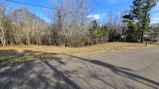 470 Olivet Dr, Savannah, TN 38372