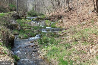 26.42 acs Dumpling Run Rd, Moorefield, WV 26836