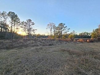 241 NW Darwin Loop, Madison, FL 32340