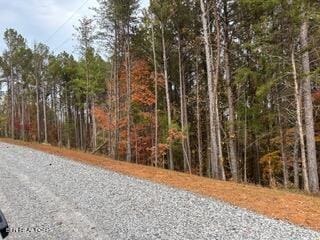 458 Cody Ln, Madisonville, TN 37354