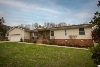 491 Lakeview Dr, Mayfield, KY 42066