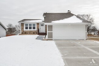 13911 Rockbluff Way, Homer Glen, IL 60491