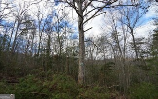 LOT 48 Laurel Brooke, Blairsville, GA 30512
