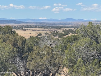 Lot 753 Woodland Valley Ranch -- Unit 753, Saint Johns, AZ 85936