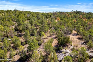 3656 Zane Grey Trail, Overgaard, AZ 85933