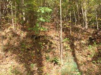 TBD Old Wagon Trail, Fancy Gap, VA 24328