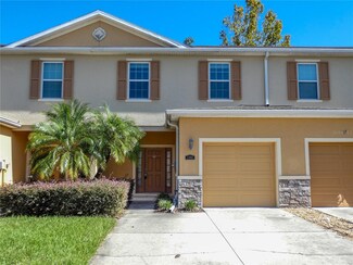 13905 River Willow Place, Tampa, FL 33637
