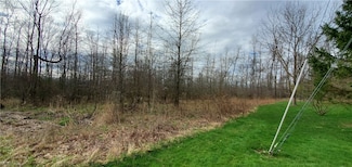 0 W Nevada Ave Unit 4450373, Sebring, OH 44672