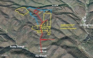 000 Ely Pucketts Creek Rd, Pennington Gap, VA 24277