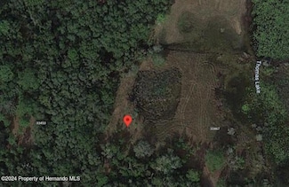 33461 West Blvd, Webster, FL 33597