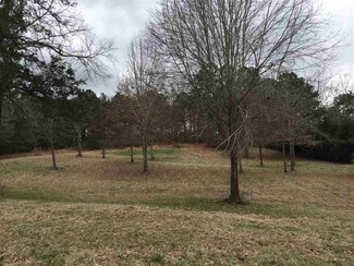 0 Olivia Ln Unit 1 1305543, Terry, MS 39170